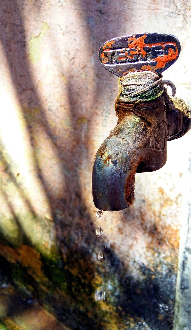 découvrez des conseils et solutions efficaces pour la conservation de l’eau. apprenez comment préserver cette ressource précieuse au quotidien et réduisez votre impact environnemental.
