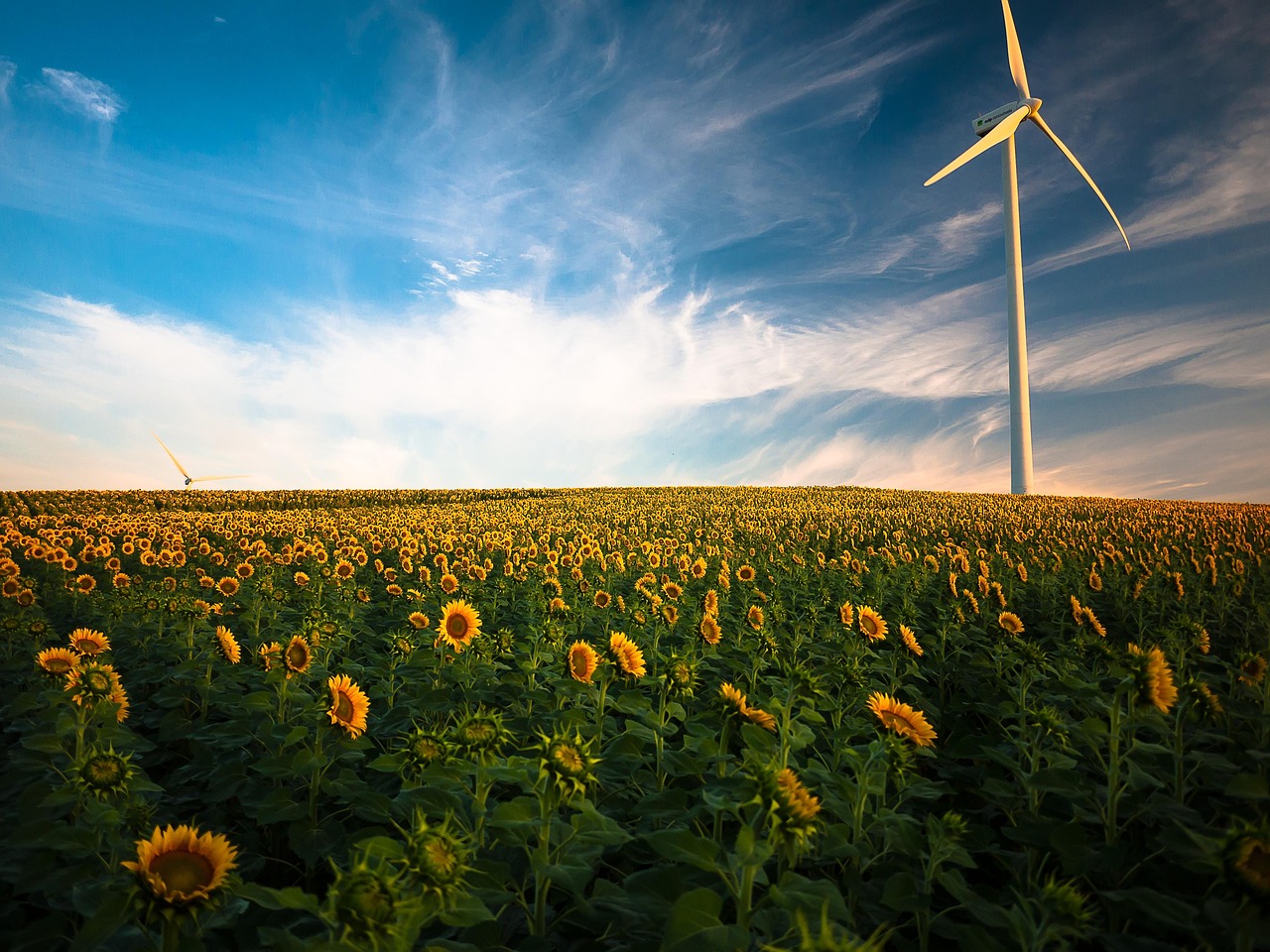 découvrez les avantages de l'énergie renouvelable, une solution durable et écologique pour un avenir meilleur. explorez les différentes sources d'énergie propre et leur impact positif sur l'environnement.