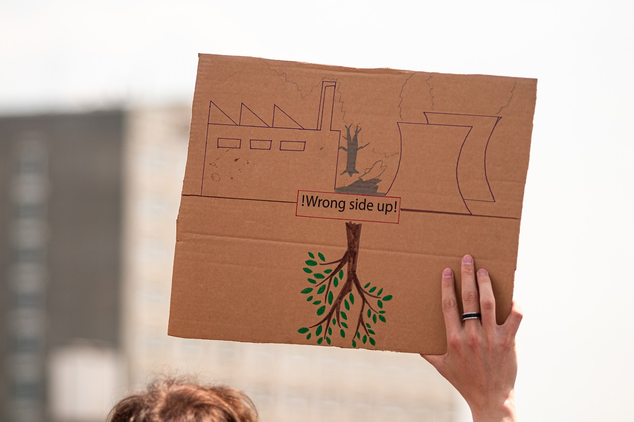 rejoignez une manifestation pacifique pour le climat, promouvant des actions durables et un avenir respectueux de l'environnement.