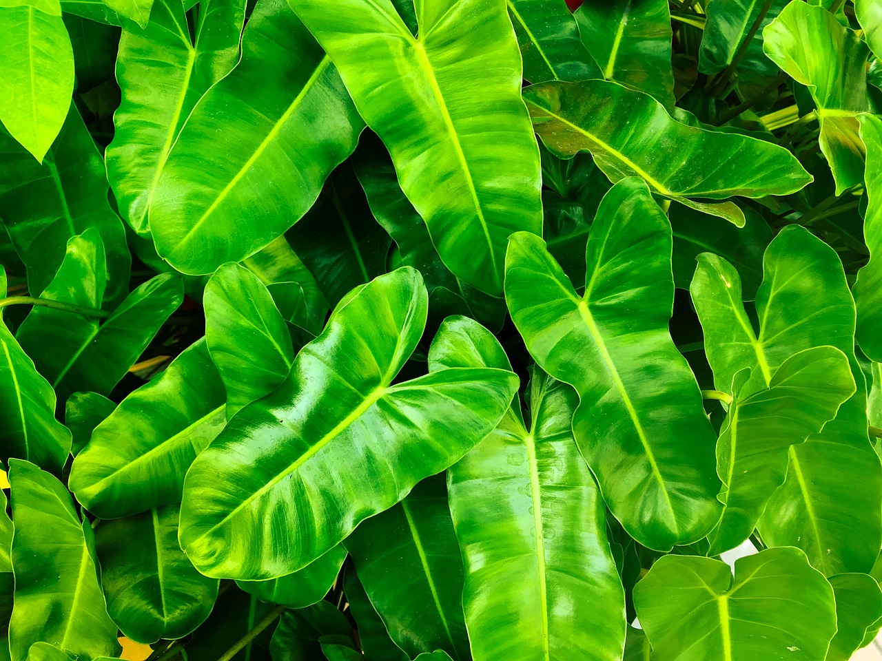 découvrez l'importance de la santé environnementale et son impact sur notre bien-être et notre planète. explorez les défis et solutions pour préserver un environnement sain.