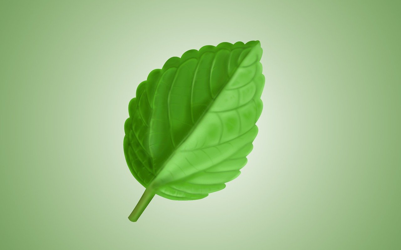 isolation thermique écologique : solutions durables pour réduire votre empreinte énergétique tout en améliorant le confort de votre habitat.