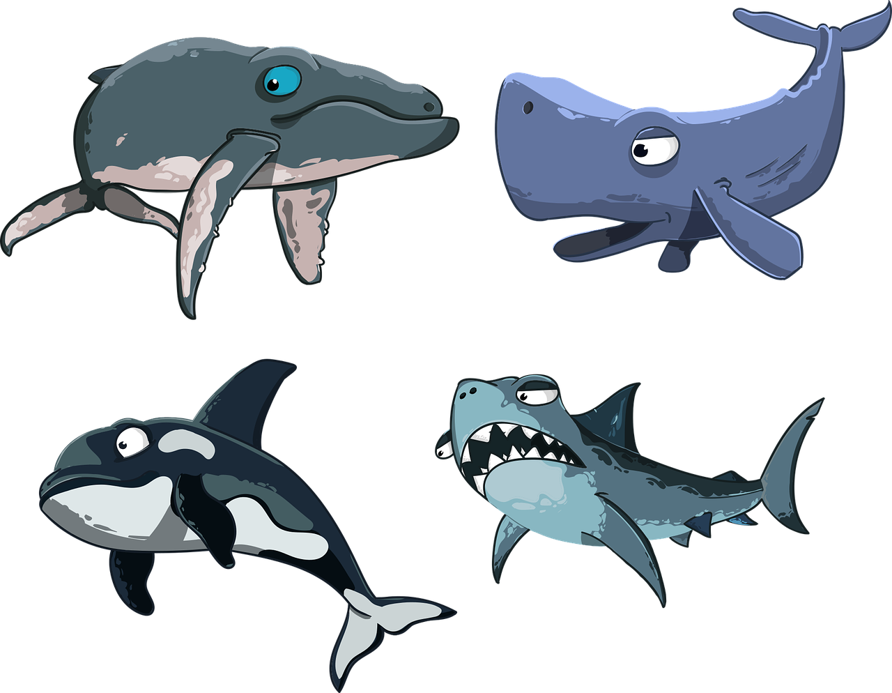découvrez les requins-baleines, les plus grands poissons du monde, connus pour leur taille impressionnante et leur comportement paisible dans les océans tropicaux.