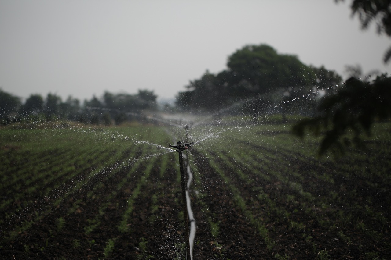 découvrez les meilleures pratiques et astuces pour économiser l'eau au quotidien et préserver cette ressource précieuse.