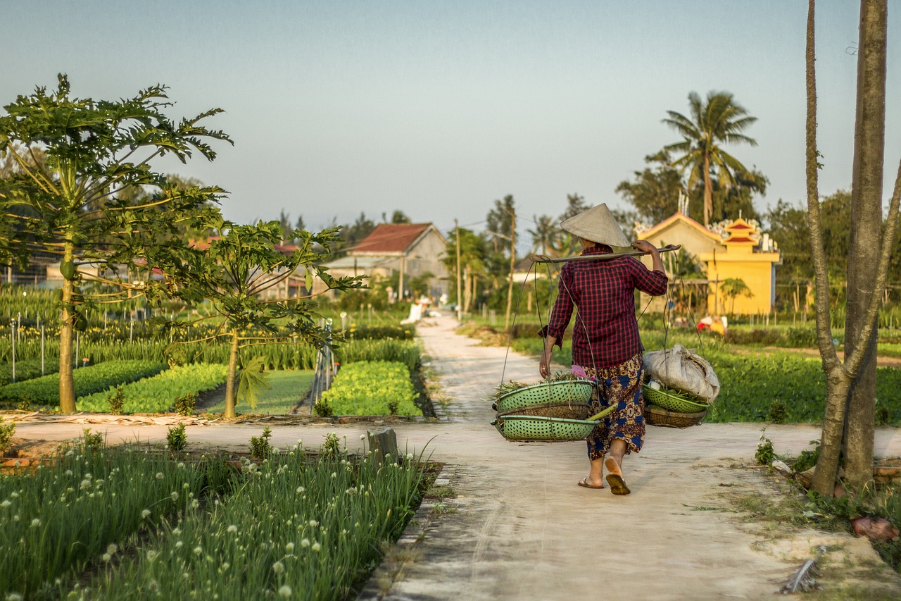découvrez des projets écologiques locaux qui préservent la biodiversité et soutiennent un développement durable. engagez-vous dans des initiatives respectueuses de l'environnement et contribuez à un avenir plus vert dans votre communauté.
