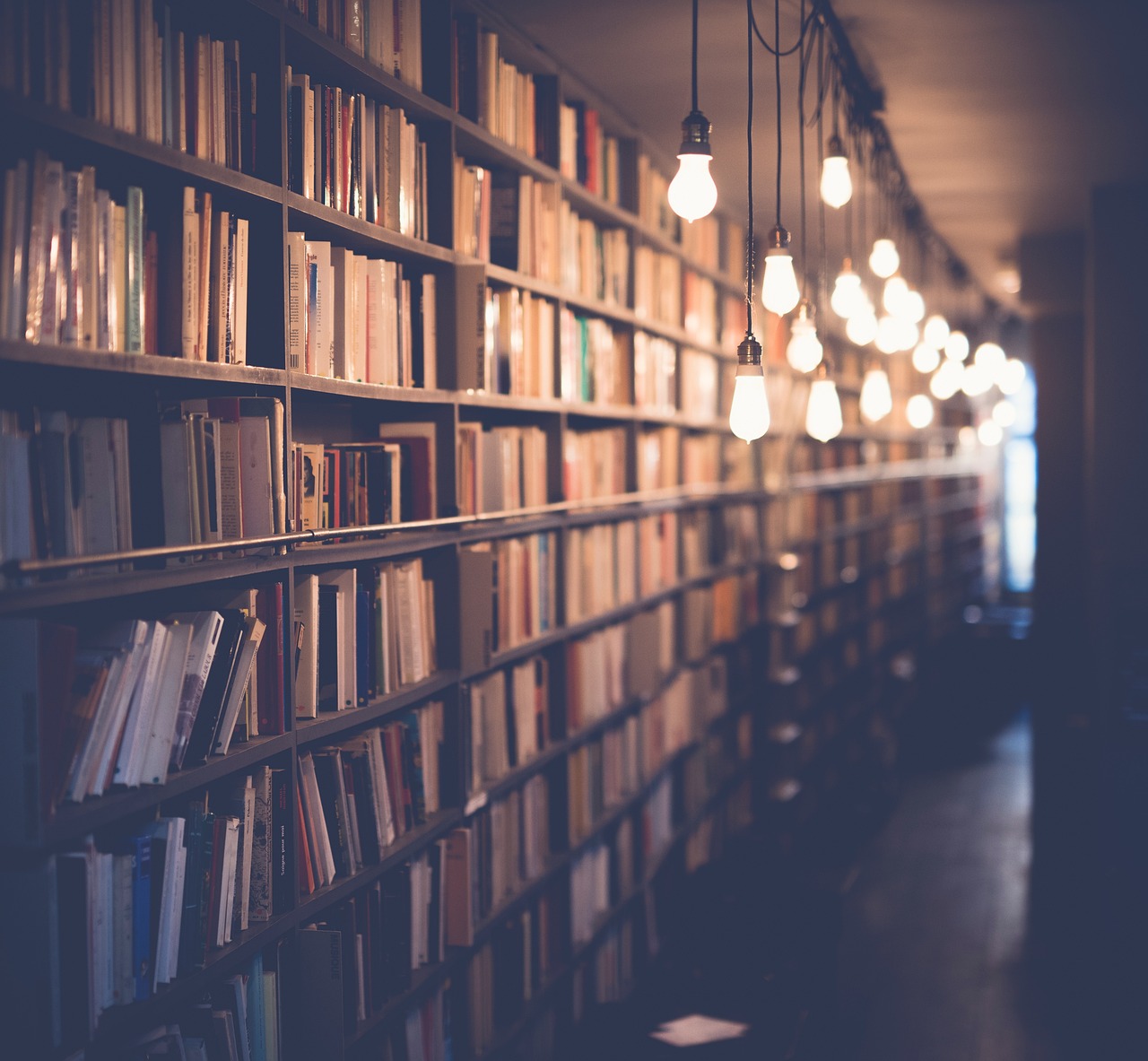 découvrez l'importance de l'infrastructure scolaire : équipements, bâtiments et espaces d'apprentissage pour offrir un environnement sécurisé et stimulant aux élèves.