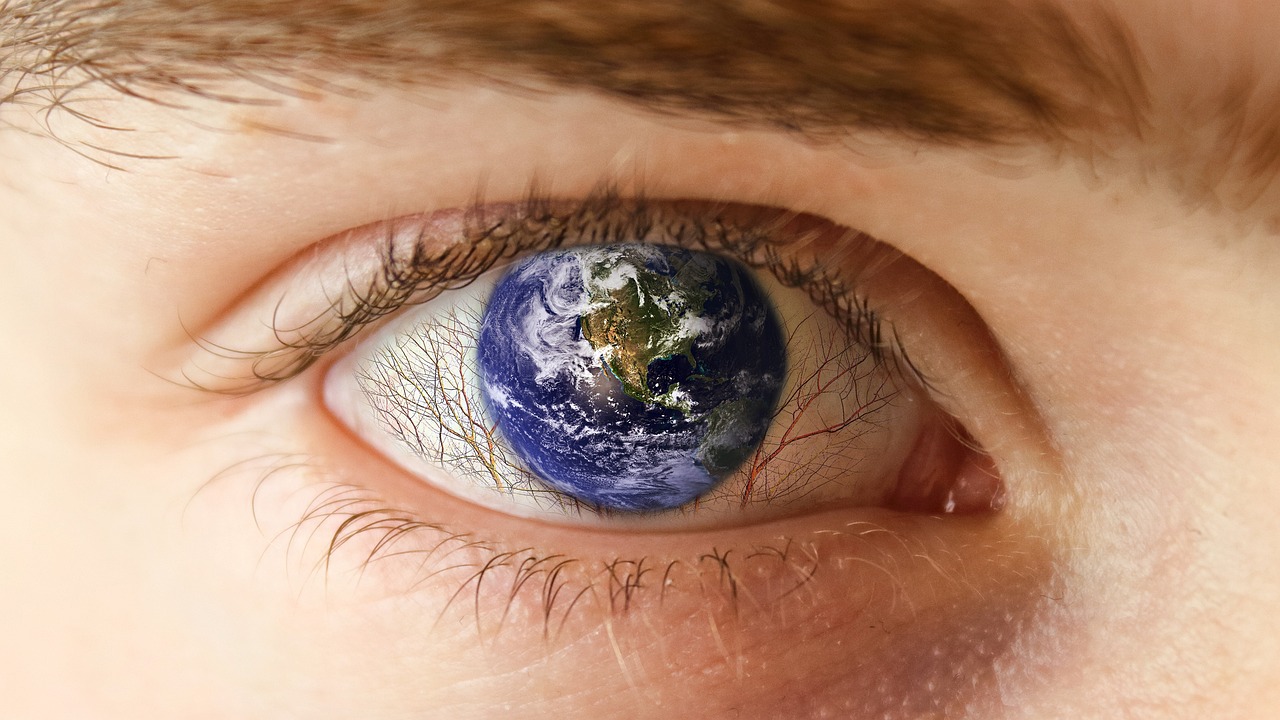 découvrez l'importance de l'écologie, ses principes fondamentaux et son impact sur notre planète. apprenez comment préserver notre environnement et promouvoir un avenir durable grâce à des actions concrètes et responsables.