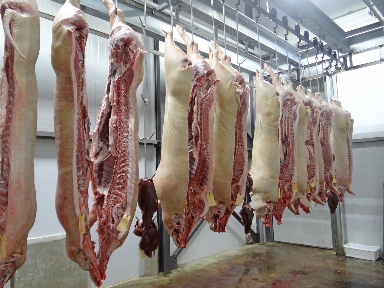 découvrez les enjeux et les tendances de l'industrie de la viande, de la production à la consommation, en passant par les aspects économiques et environnementaux.