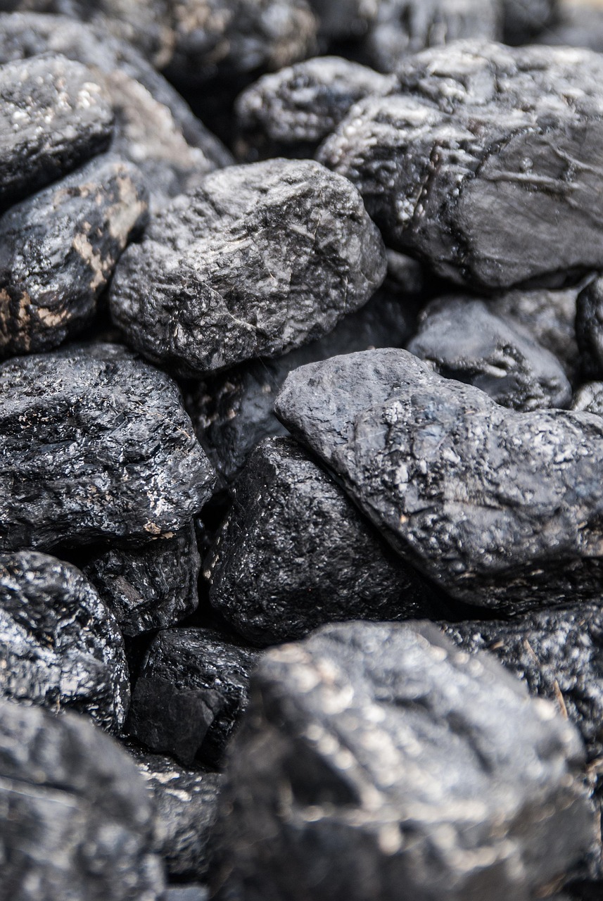 découvrez tout sur le charbon : son utilisation, son impact environnemental et son rôle dans l'industrie énergétique moderne.