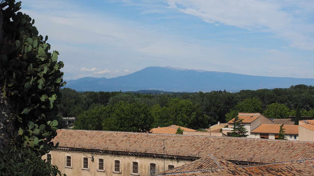 découvrez les initiatives d'adaptation climatique au mont ventoux pour préserver son écosystème face aux changements environnementaux.
