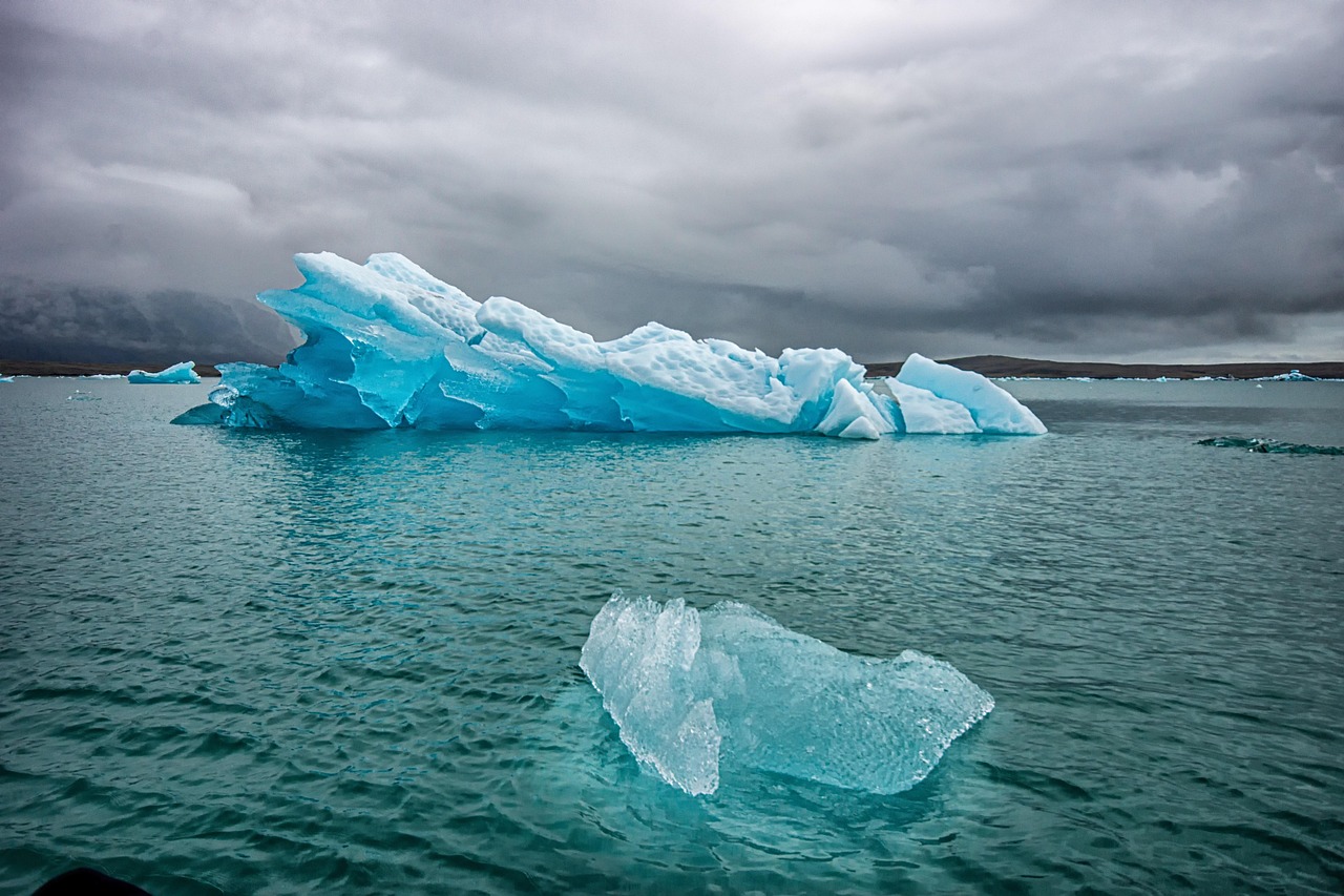 découvrez tout sur l'environnement : enjeux, protection, développement durable et actions pour préserver notre planète.