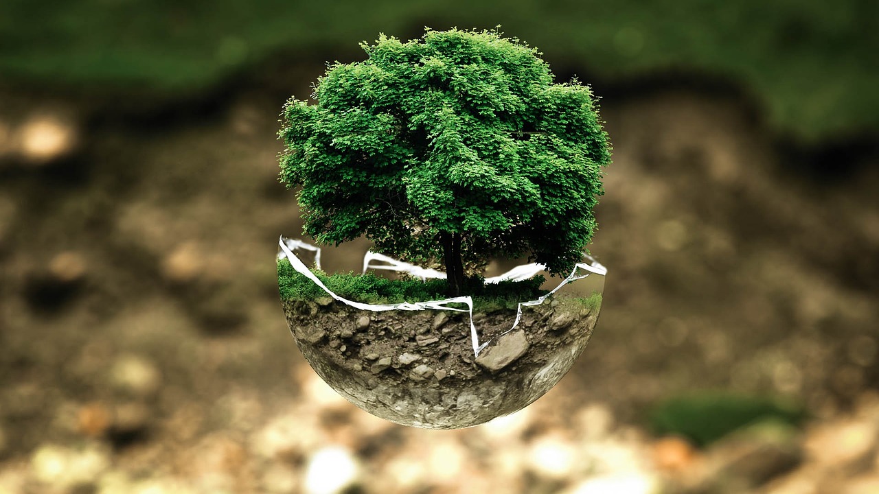 découvrez comment une politique environnementale efficace peut aider à protéger notre planète, promouvoir la durabilité et encourager des pratiques responsables pour les générations futures.