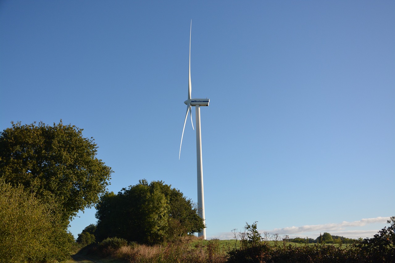 découvrez les enjeux et les initiatives du développement durable, une approche essentielle pour préserver notre planète tout en soutenant une croissance économique équilibrée et respectueuse de l'environnement.