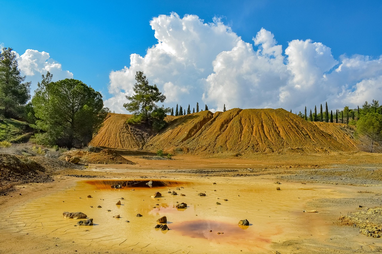 découvrez l'importance des écosystèmes, leur diversité et leur rôle essentiel dans le maintien de l'équilibre de la planète. apprenez comment ils interagissent et comment préserver notre environnement pour les générations futures.