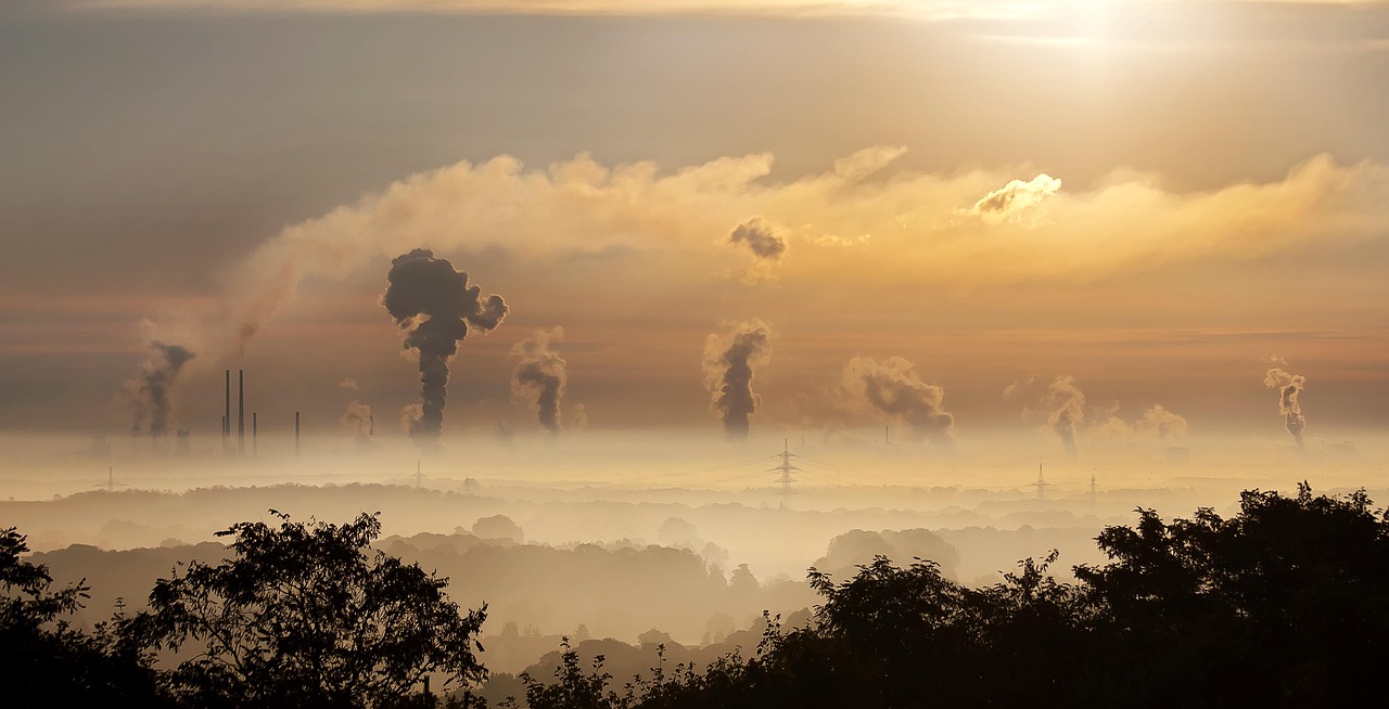 découvrez l'impact environnemental de nos activités quotidiennes et explorez des solutions durables pour préserver notre planète. informez-vous sur les effets des actions humaines sur l'écosystème et engagez-vous pour un avenir plus vert.