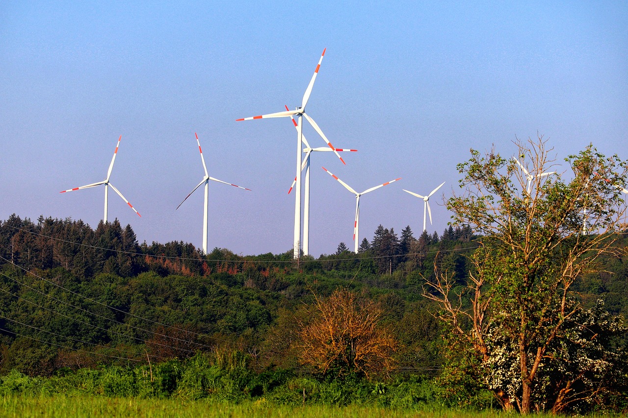 découvrez comment la green transition façonne un avenir plus durable en adoptant des solutions écologiques et innovantes pour protéger l’environnement et dynamiser l’économie.
