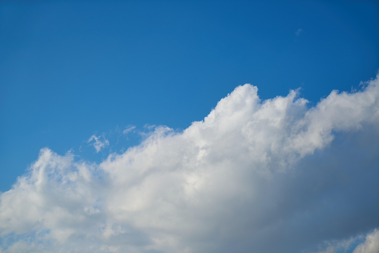 découvrez le climate fund, un fonds dédié au financement de projets innovants pour lutter contre le changement climatique et promouvoir un développement durable.
