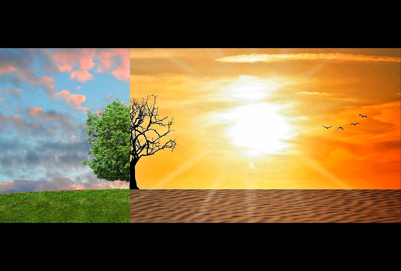 découvrez des solutions innovantes et durables pour lutter contre le changement climatique. apprenez comment chaque individu et entreprise peut contribuer à un avenir plus vert et résilient.