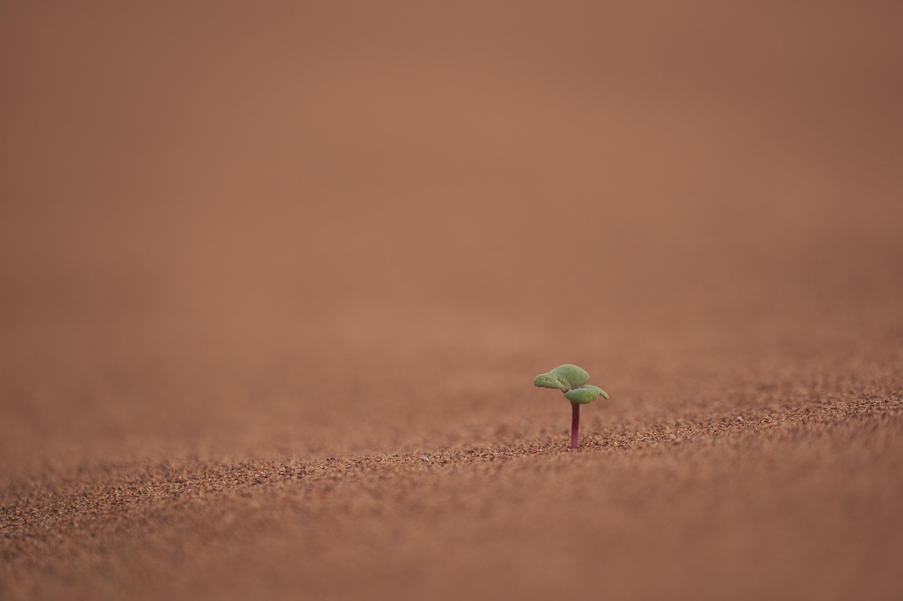 découvrez les causes, conséquences et solutions du changement climatique. informez-vous sur les impacts environnementaux et les actions pour protéger notre planète.