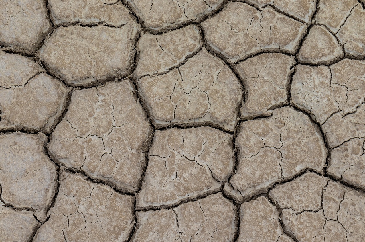 découvrez les défis mondiaux liés à l'environnement et au climat, leurs impacts sur notre planète, et les solutions pour un avenir durable.