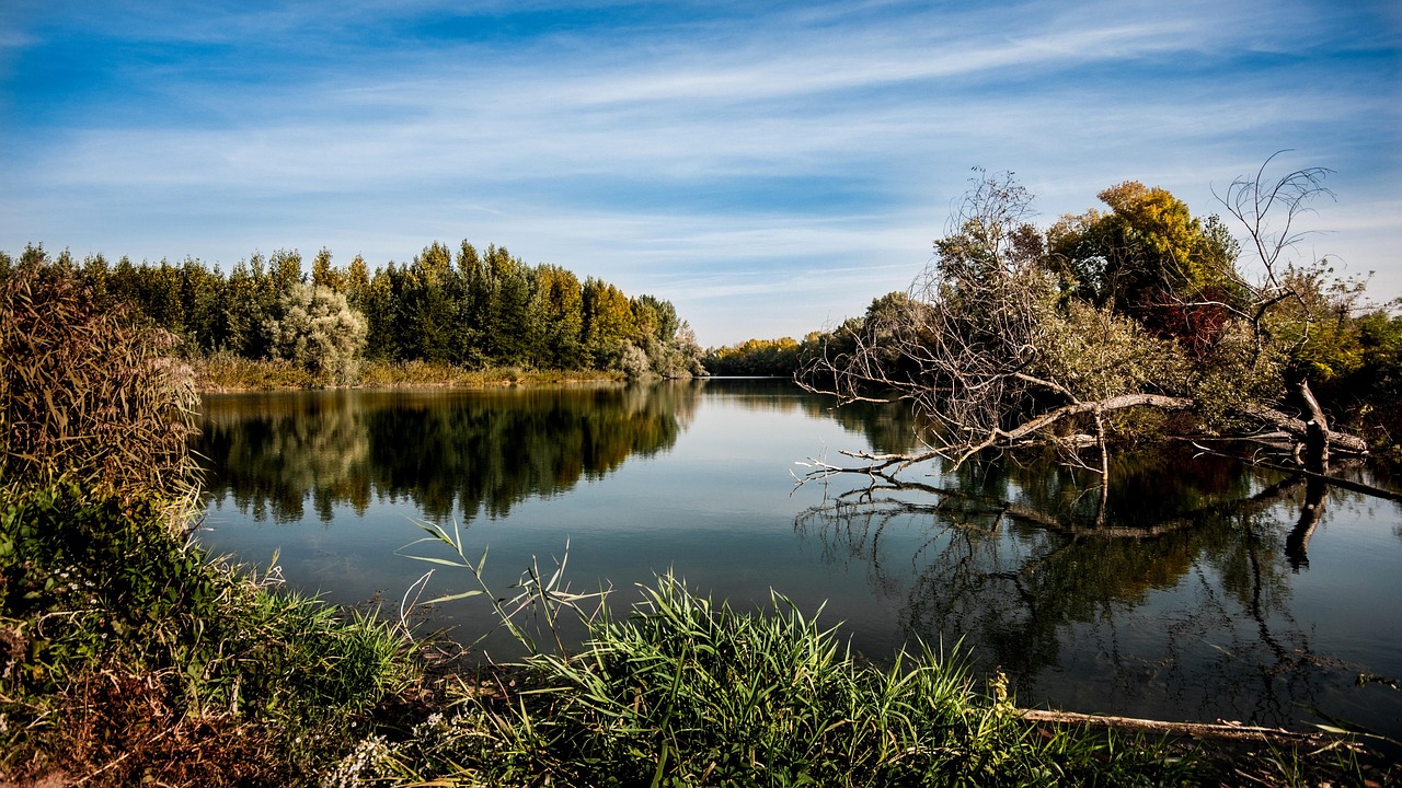 découvrez l'importance de l'environnement et ses enjeux actuels. informez-vous sur les actions nécessaires pour protéger notre planète et promouvoir un développement durable.