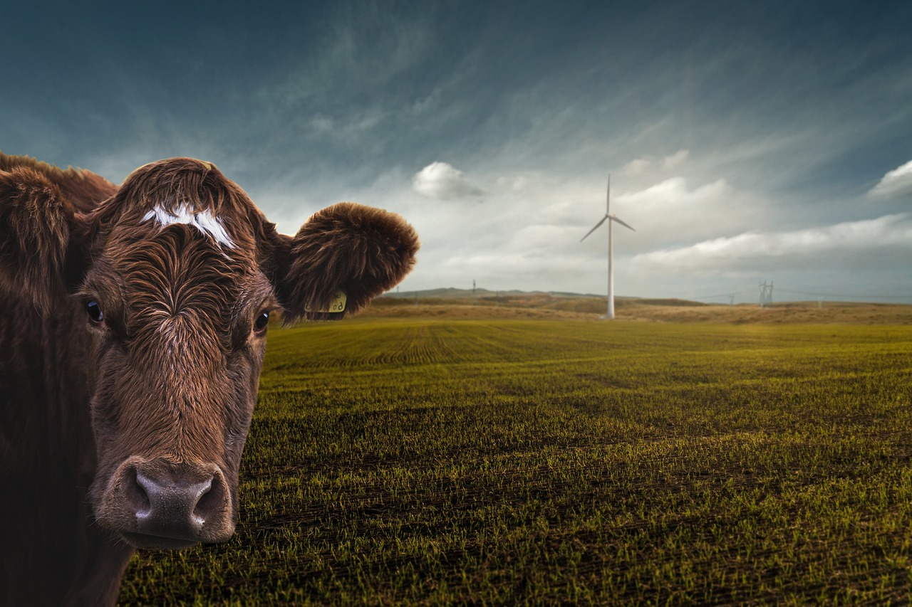 découvrez les enjeux et solutions de la transition climatique : adaptations, innovations et actions nécessaires pour limiter le changement climatique et construire un avenir durable.