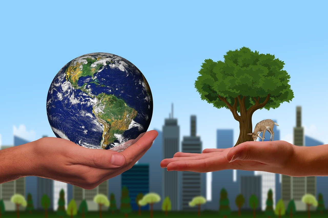 découvrez comment favoriser la durabilité environnementale grâce à des pratiques respectueuses de la planète. informez-vous sur les solutions innovantes pour protéger l’environnement et garantir un avenir durable.