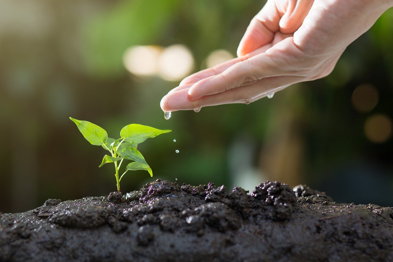 plongez dans le monde fascinant de l'écologie, une science essentielle qui étudie les interactions entre les êtres vivants et leur environnement. découvrez les enjeux environnementaux, la biodiversité, et des solutions durables pour protéger notre planète.