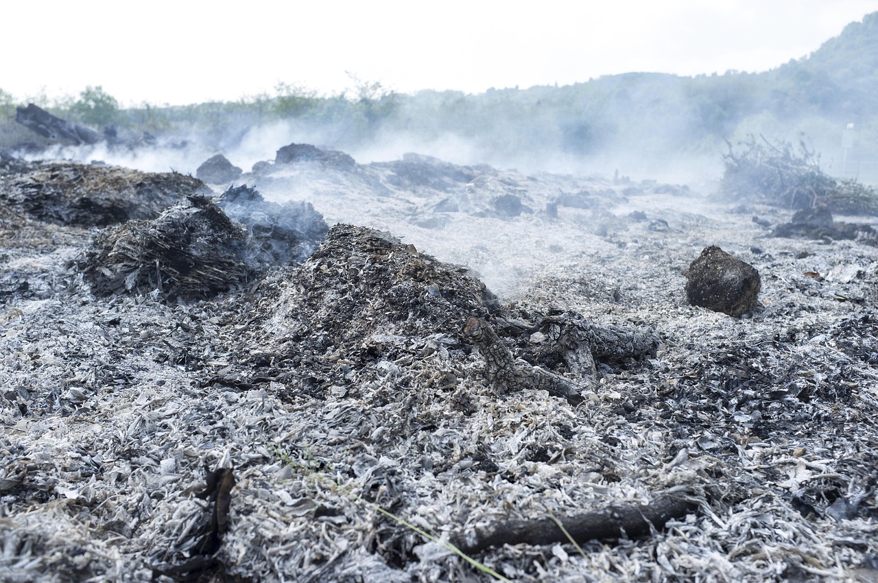 découvrez ce que sont les combustibles fossiles, leur impact sur l’environnement, leur rôle dans l’économie mondiale et les alternatives pour un avenir plus durable.