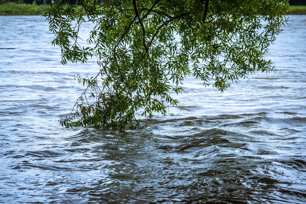 informations essentielles sur les inondations, leurs causes, leurs impacts et les mesures de prévention pour protéger votre maison et votre communauté.