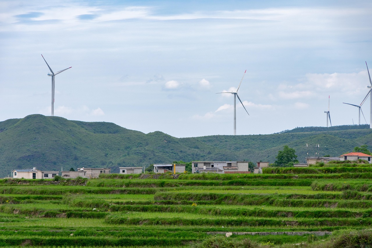 découvrez le développement durable : principes, enjeux et solutions pour construire un avenir respectueux de l’environnement et des générations futures.