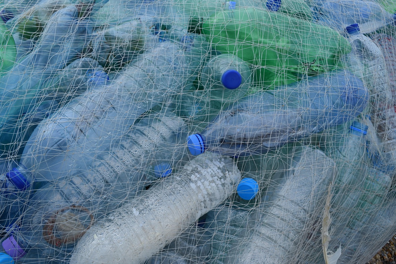 découvrez l'importance de la sensibilisation environnementale et comment chaque geste compte pour protéger notre planète. explorez des initiatives, des conseils pratiques et des ressources pour contribuer à un avenir durable.