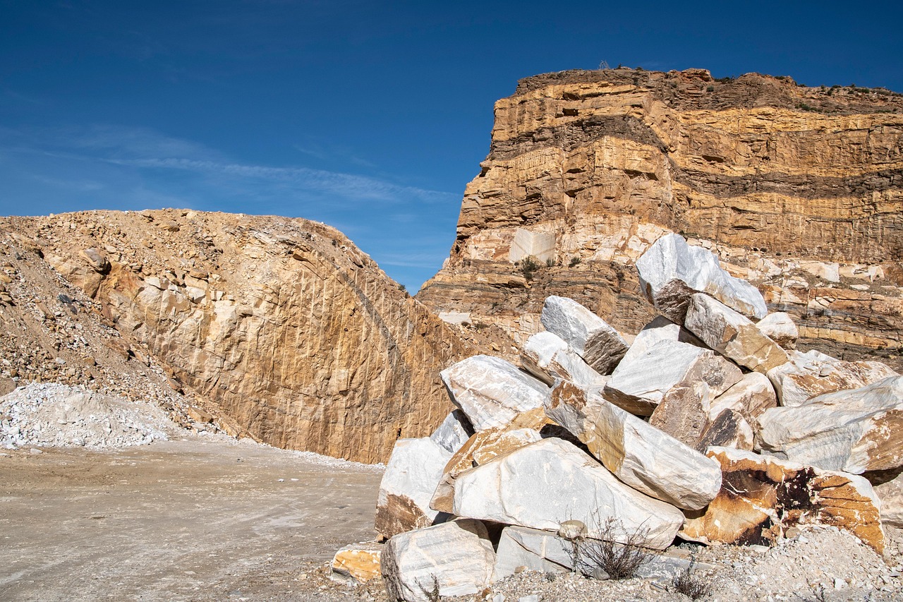 découvrez les ressources naturelles et leur impact sur notre environnement. explorez les différents types de ressources, leur gestion durable et leur rôle crucial dans le développement économique et la préservation de la biodiversité.