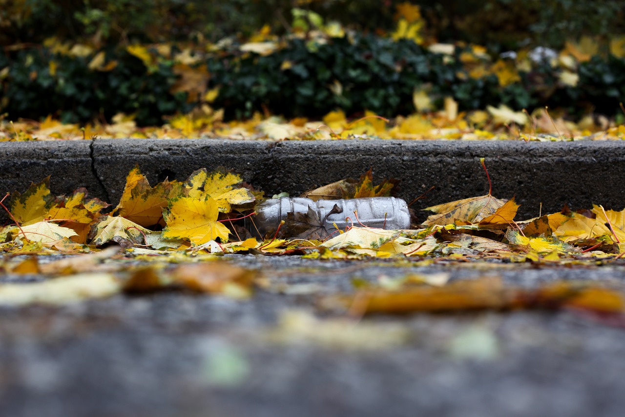 découvrez le mouvement zéro déchet et apprenez comment réduire vos déchets au quotidien avec des conseils pratiques, des astuces écolos et des alternatives durables pour un mode de vie respectueux de l'environnement.