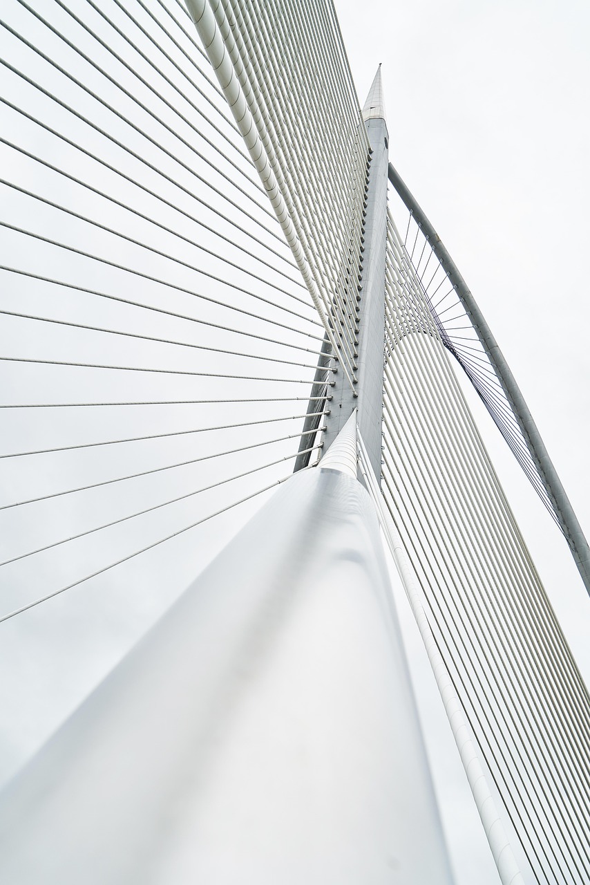 découvrez l'importance des infrastructures vertes pour un urbanisme durable et respectueux de l'environnement. apprenez comment ces solutions innovantes favorisent la biodiversité, améliorent la qualité de l'air et contribuent à la gestion des eaux pluviales.