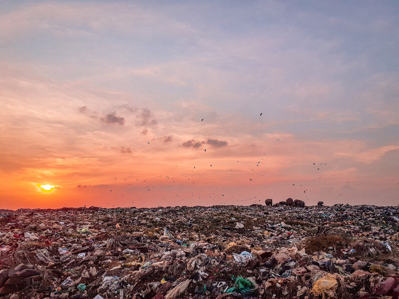 découvrez les enjeux des déchets plastiques, leurs impacts sur l'environnement et les solutions innovantes pour les réduire. engagez-vous dans la lutte contre la pollution plastique et apprenez comment chaque geste compte pour préserver notre planète.