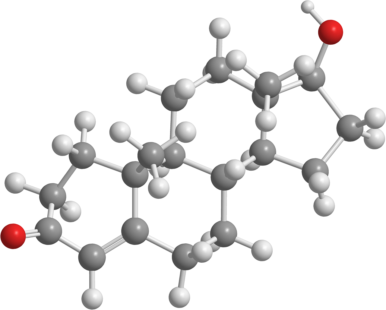 découvrez tout sur la testostérone : fonction, effets sur le corps, niveaux, et conseils pour optimiser naturellement cette hormone clé.