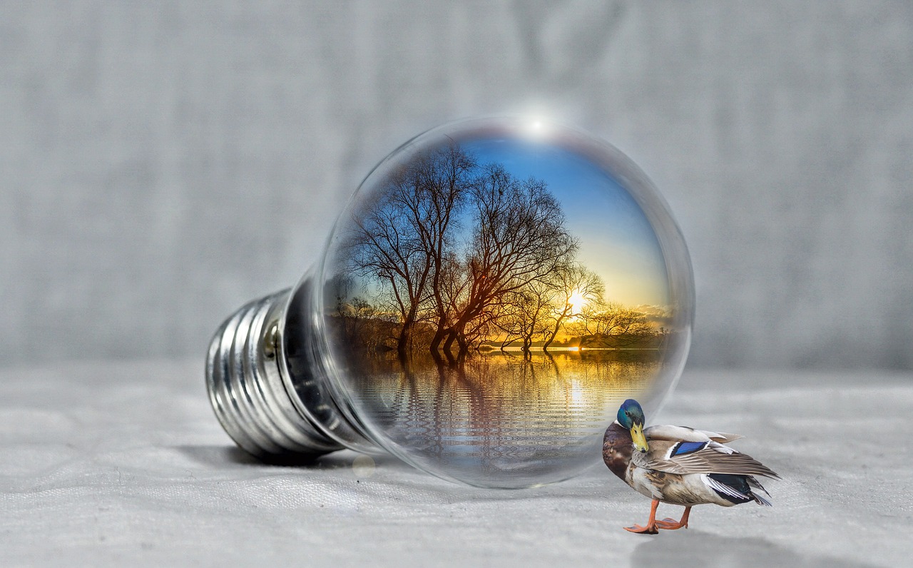 découvrez l'énergie renouvelable, une solution durable pour un avenir meilleur. explorez les différentes sources d'énergie verte, leurs avantages pour l'environnement et comment elles transforment notre façon de consommer. engagez-vous dans la transition énergétique et contribuez à la préservation de notre planète.