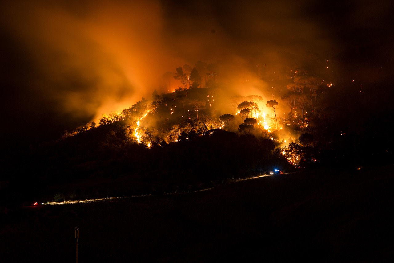 découvrez les enjeux et les réponses face aux urgences climatiques pour agir efficacement et protéger notre planète.