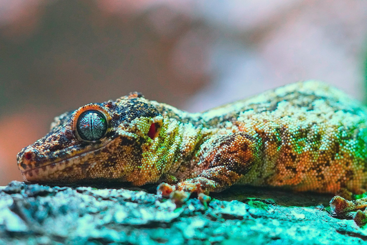 découvrez l'importance de la biodiversité et son rôle essentiel dans l'équilibre de notre écosystème. apprenez comment la préservation des espèces et des habitats contribue à un avenir durable pour notre planète.