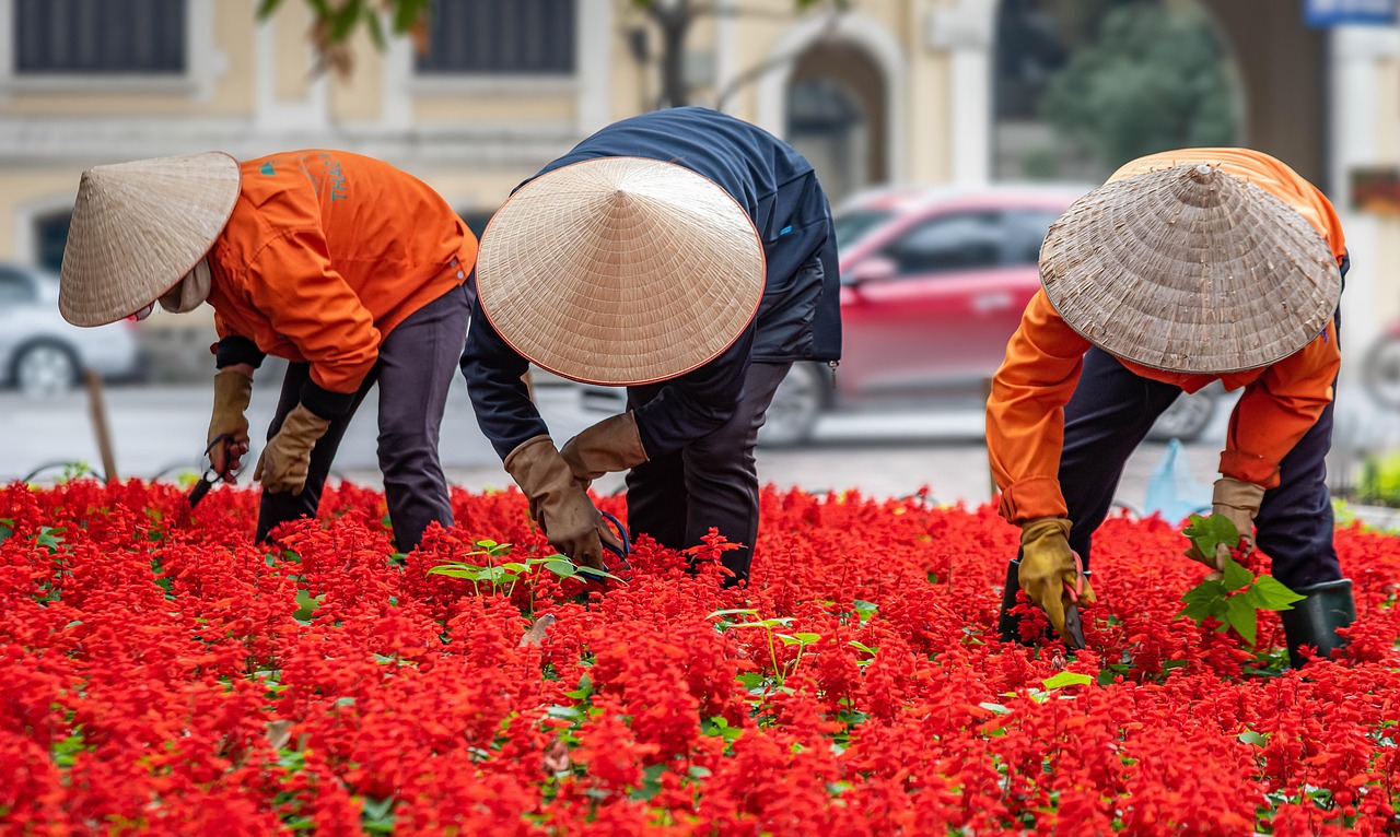 découvrez les principes de la permaculture urbaine pour cultiver un jardin écologique et productif en ville, en optimisant l'espace et en respectant la nature.