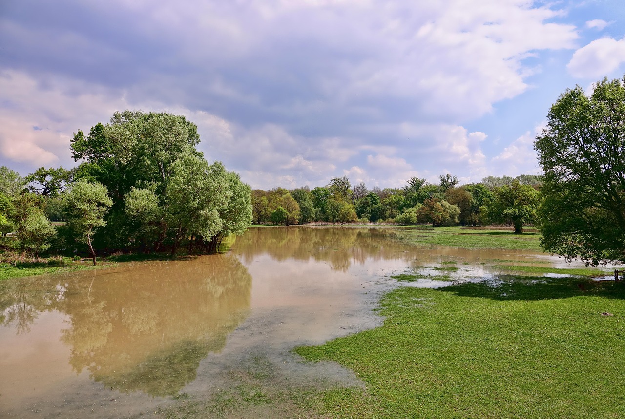 découvrez les impacts dévastateurs des inondations, les causes et les solutions pour se préparer face à ce phénomène naturel croissant. informez-vous sur les mesures de prévention et les conseils pratiques pour protéger votre environnement et votre bien-être.