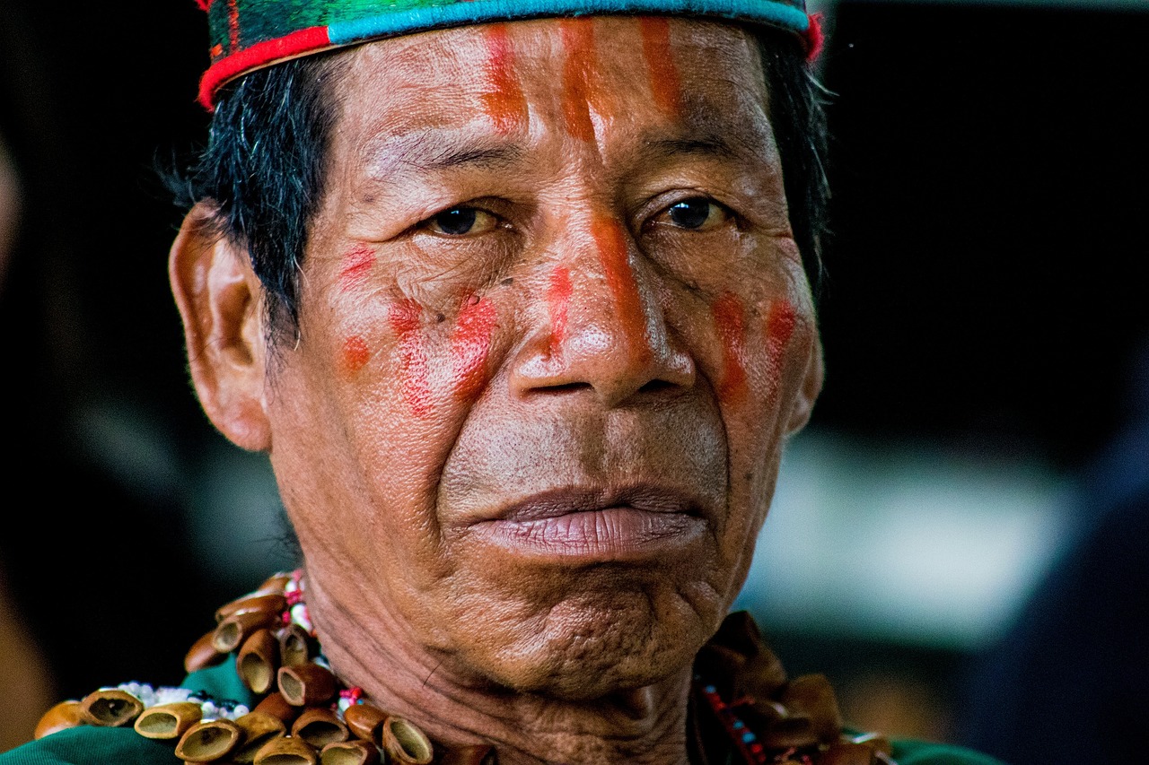 découvrez les richesses culturelles et les défis des communautés autochtones à travers le monde. plongez dans leur histoire, leur mode de vie et leurs luttes pour la préservation de leurs droits et de leurs traditions.