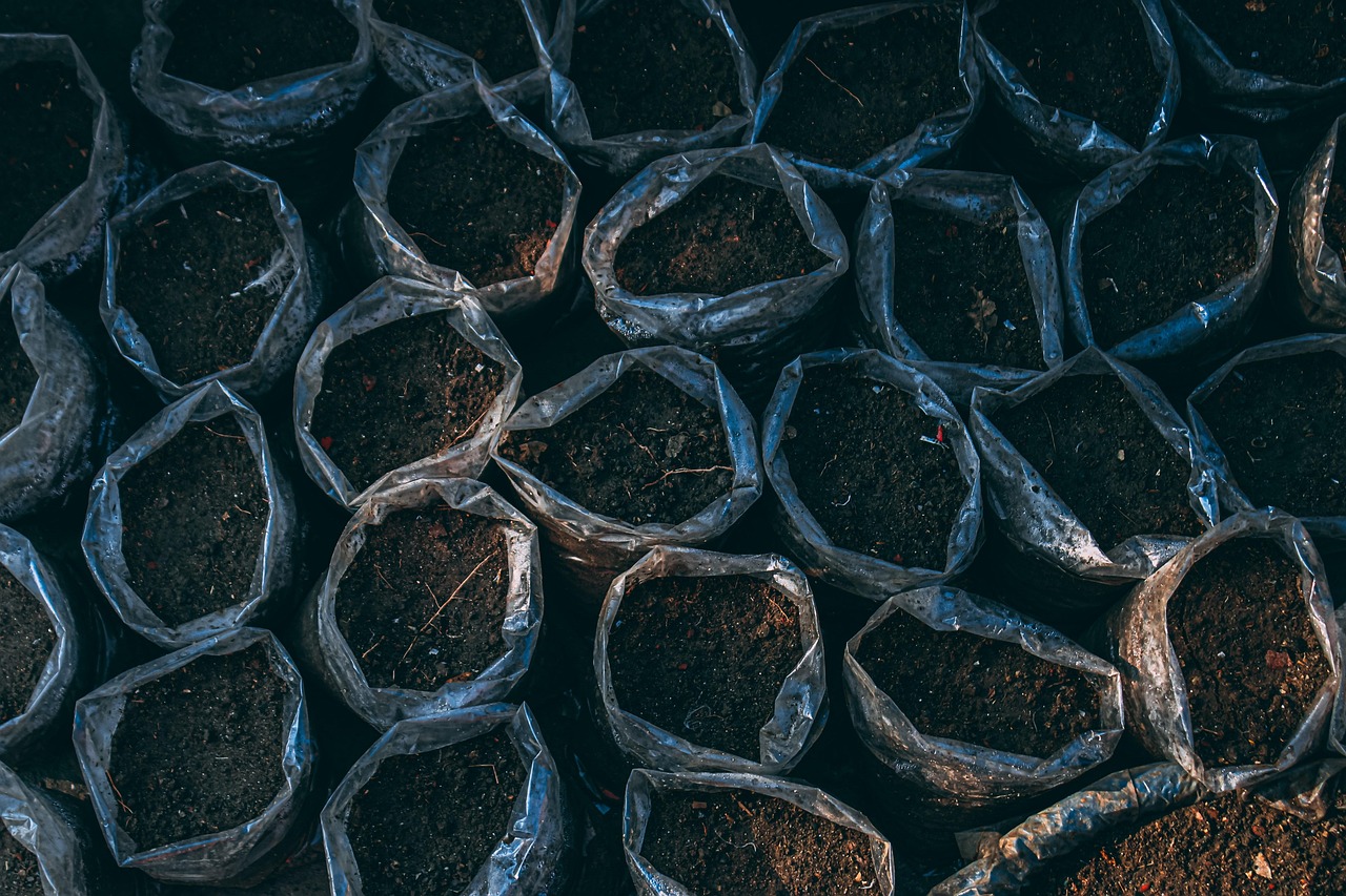 découvrez l'art du jardinage biologique sur balcon : astuces et conseils pour cultiver des plantes saines et naturelles même en espace réduit.