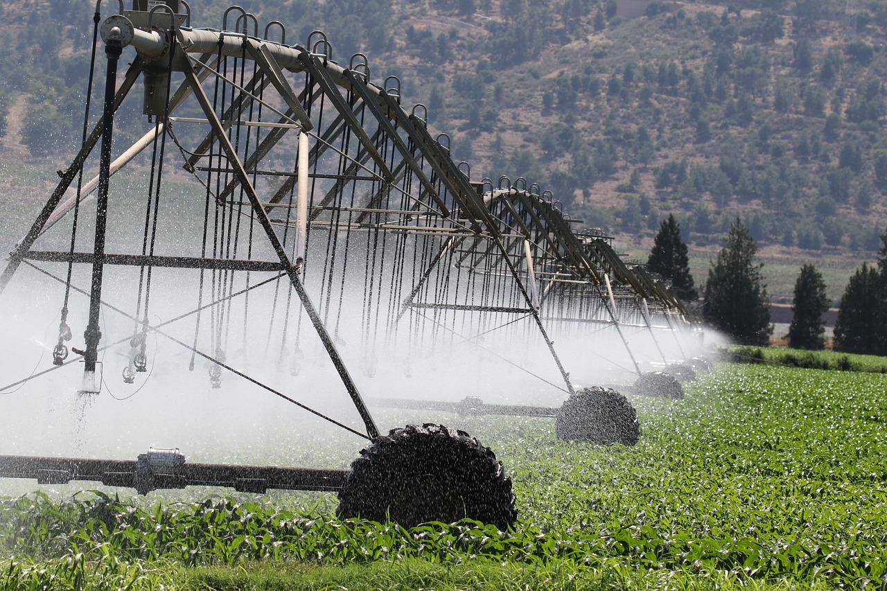 découvrez les causes, impacts et solutions liés au changement climatique. informez-vous sur les enjeux environnementaux actuels et comment agir pour protéger la planète.