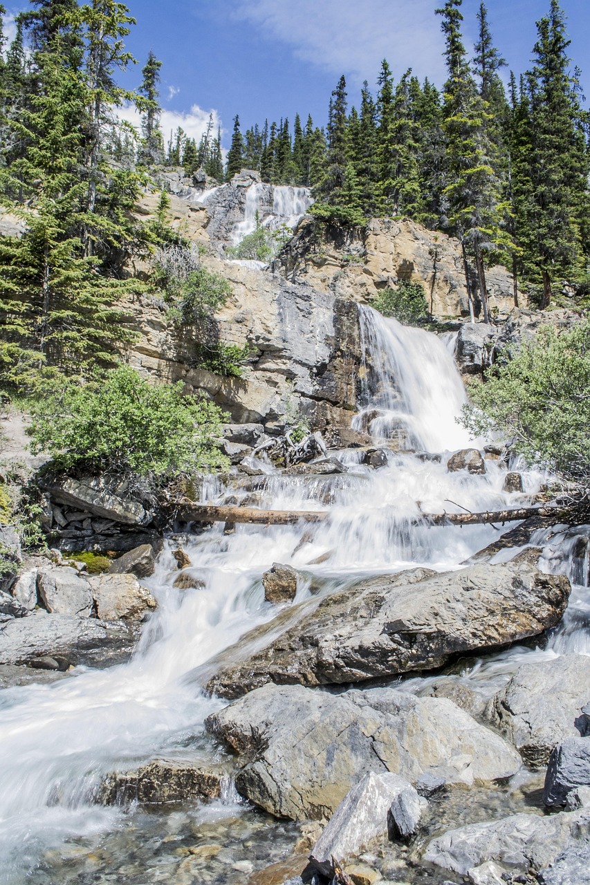 découvrez les actions et initiatives pour lutter contre le changement climatique et promouvoir un avenir durable grâce à l'activisme climatique.