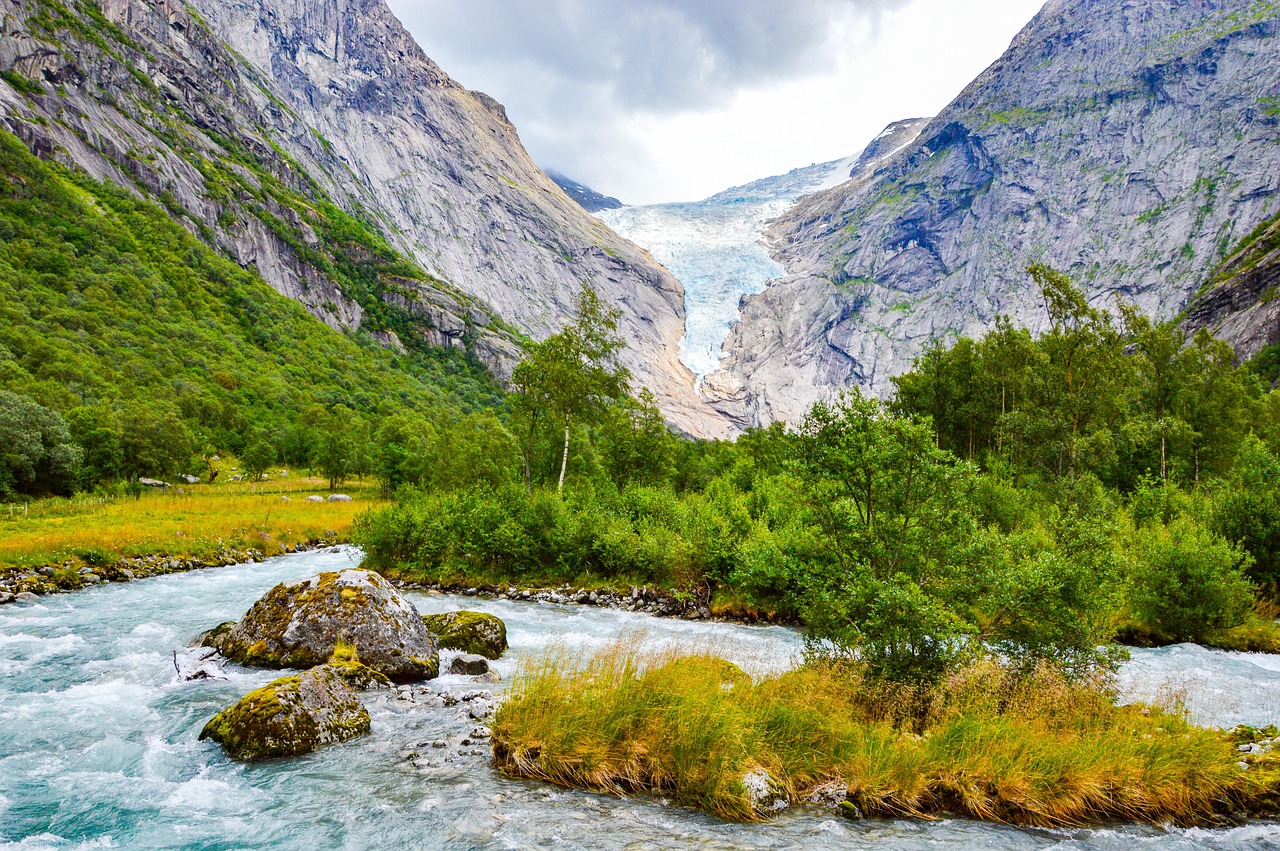 découvrez comment le changement climatique impacte les régions montagneuses et quelles mesures sont prises pour préserver ces écosystèmes fragiles.
