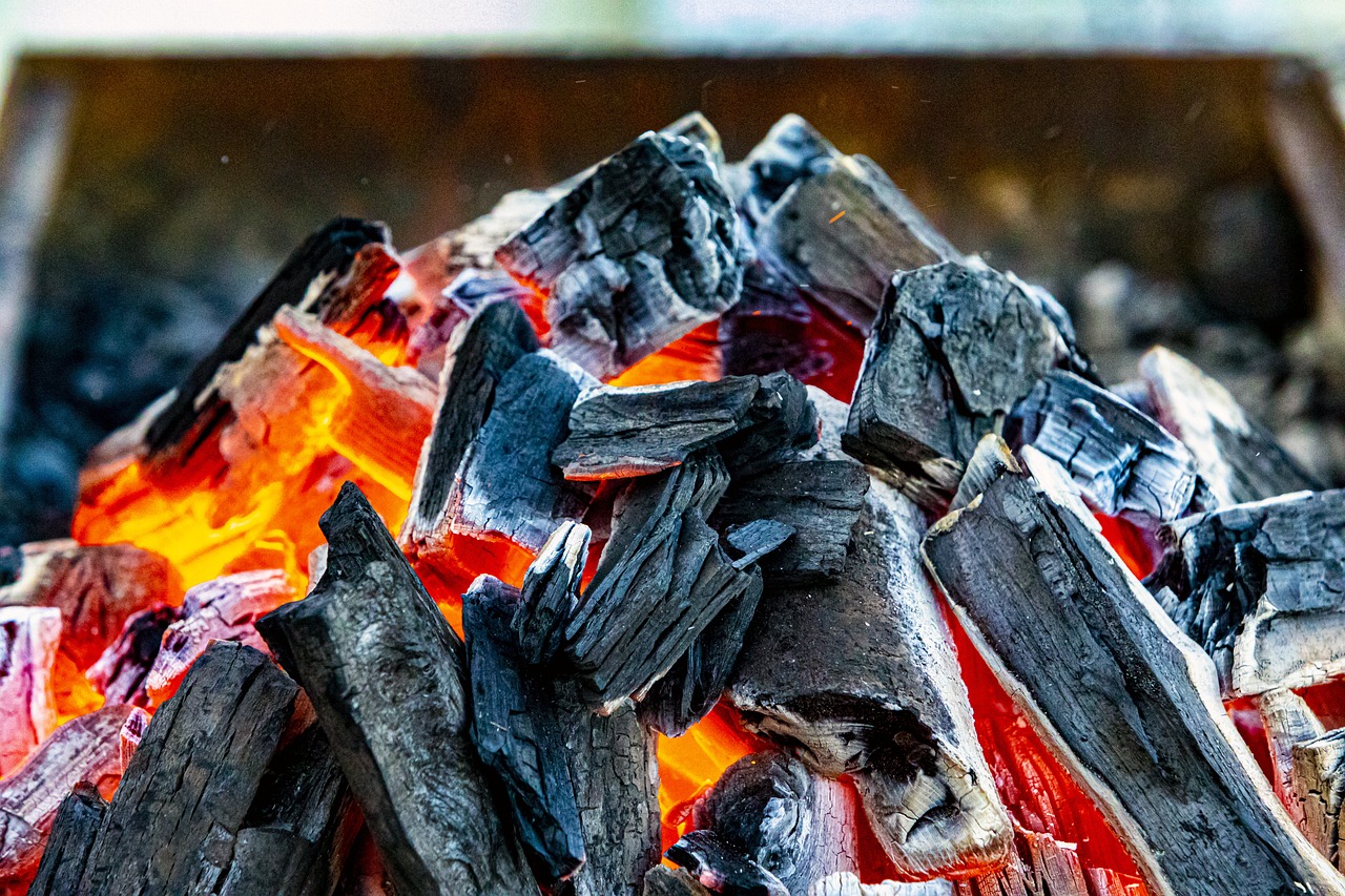 découvrez tout sur le charbon : son origine, ses utilisations, son impact environnemental et son rôle dans l'industrie énergétique.