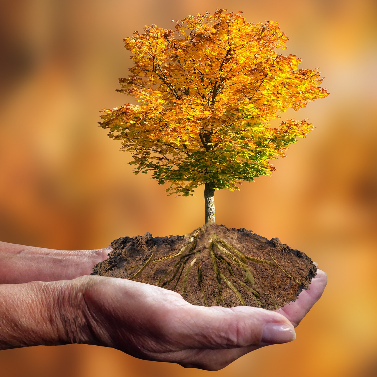 découvrez le concept de congé climatique, une initiative visant à permettre aux employés de prendre du temps libre pour agir en faveur de l'environnement et lutter contre le changement climatique.