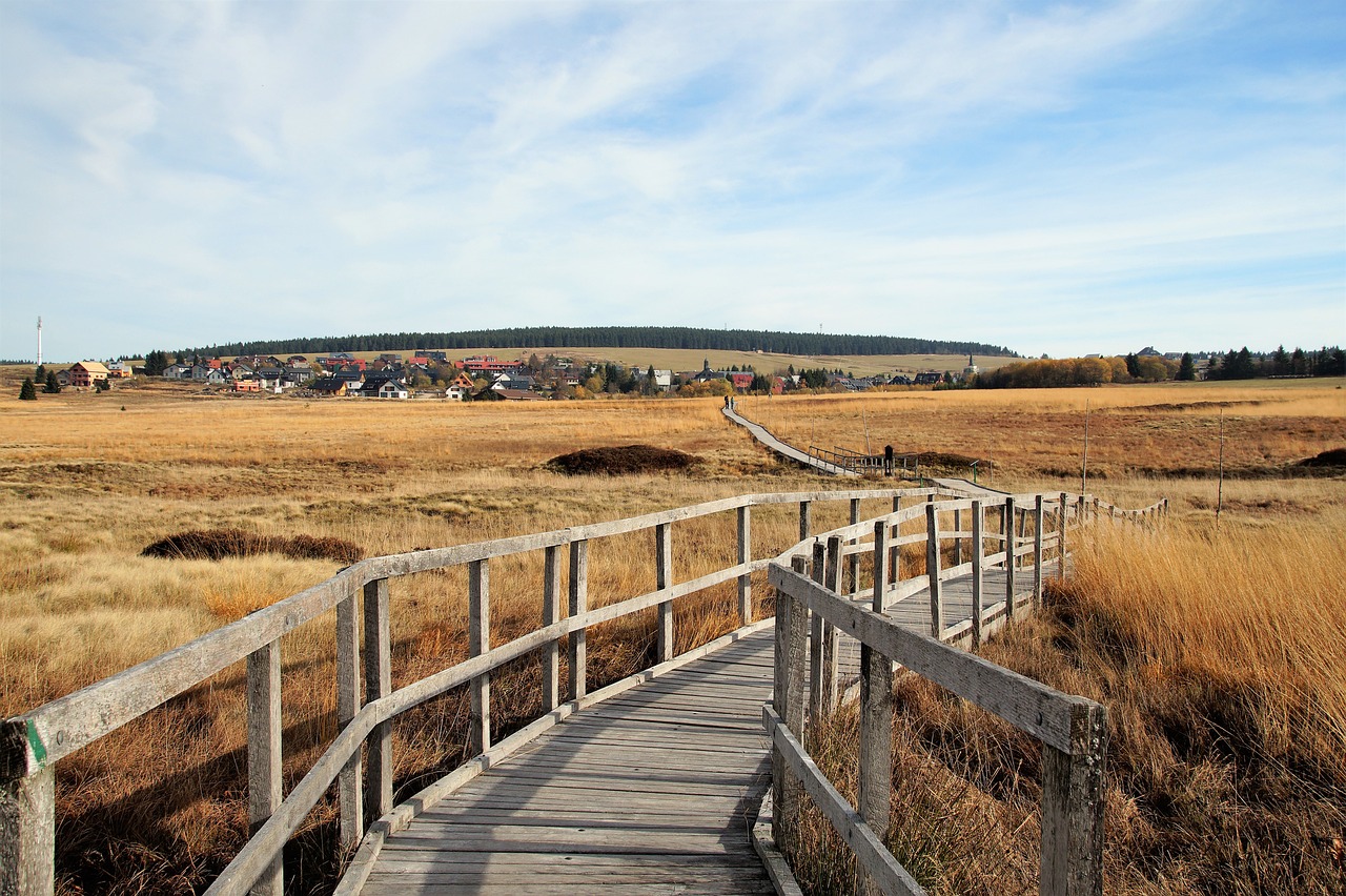 découvrez l'importance des zones protégées : un sanctuaire pour la biodiversité, la conservation des écosystèmes et la protection des espèces menacées. apprenez comment ces espaces naturels jouent un rôle essentiel dans la durabilité et l'équilibre de notre planète.