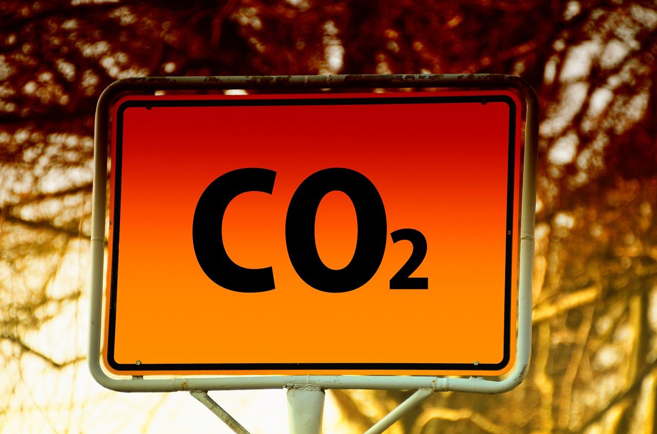 découvrez les enjeux et les solutions de la transition écologique pour un avenir durable et respectueux de l'environnement.